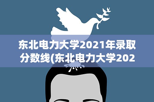 东北电力大学2021年录取分数线(东北电力大学2022分数线)