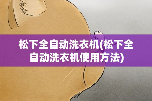 松下全自动洗衣机(松下全自动洗衣机使用方法)