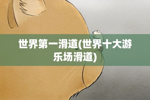 世界第一滑道(世界十大游乐场滑道)