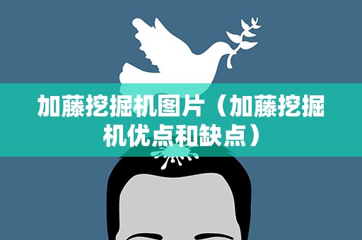 加藤挖掘机图片（加藤挖掘机优点和缺点）