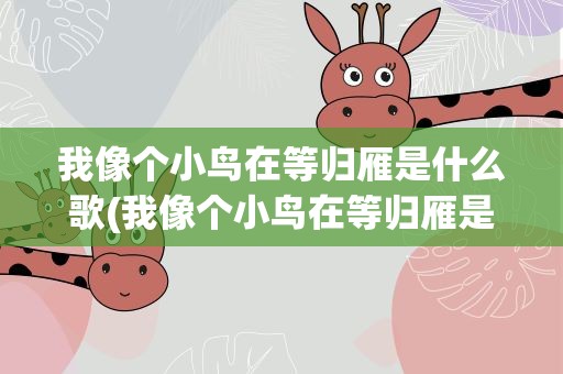 我像个小鸟在等归雁是什么歌(我像个小鸟在等归雁是什么歌曲)