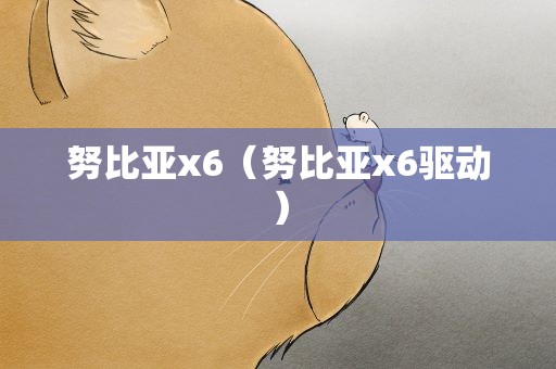 努比亚x6（努比亚x6驱动）