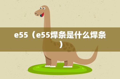 e55（e55焊条是什么焊条）