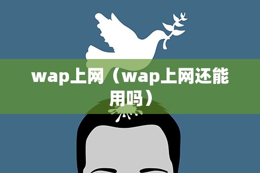 wap上网（wap上网还能用吗）
