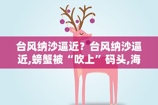 台风纳沙逼近？台风纳沙逼近,螃蟹被“吹上”码头,海中的生物如何“避险”