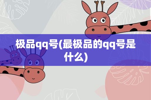 极品qq号(最极品的qq号是什么)