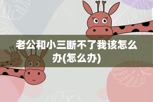 老公和小三断不了我该怎么办(怎么办)