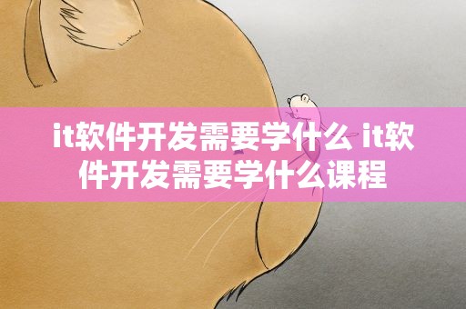 it软件开发需要学什么 it软件开发需要学什么课程