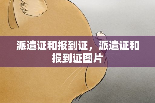 派遣证和报到证，派遣证和报到证图片