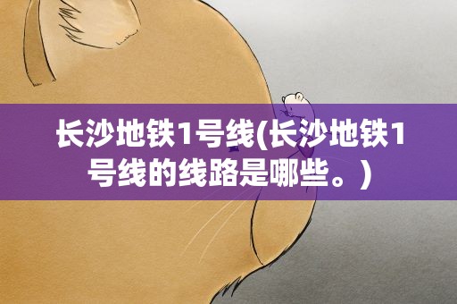 长沙地铁1号线(长沙地铁1号线的线路是哪些。)