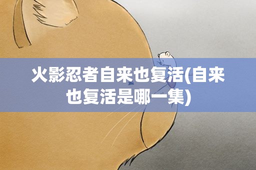 火影忍者自来也复活(自来也复活是哪一集)