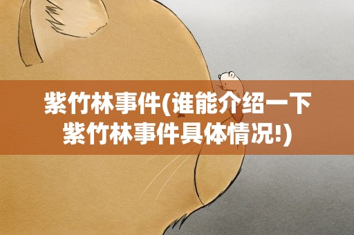 紫竹林事件(谁能介绍一下紫竹林事件具体情况!)