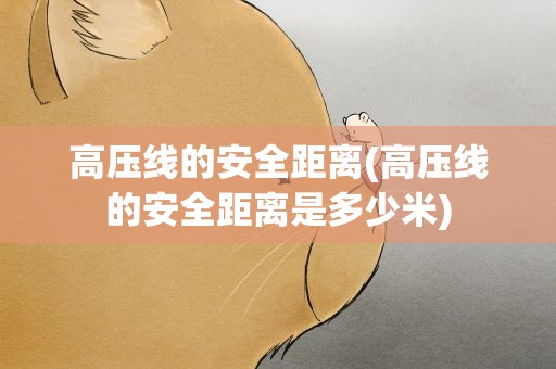 高压线的安全距离(高压线的安全距离是多少米)