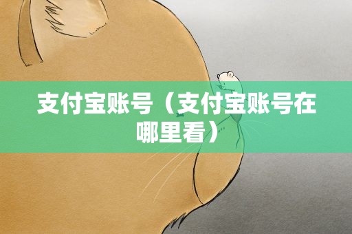 支付宝账号（支付宝账号在哪里看）