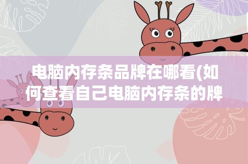 电脑内存条品牌在哪看(如何查看自己电脑内存条的牌子)