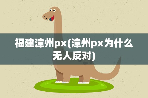 福建漳州px(漳州px为什么无人反对)