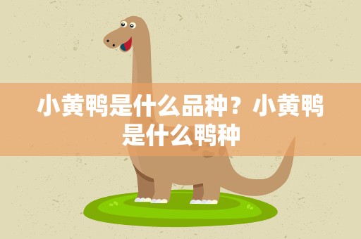 小黄鸭是什么品种？小黄鸭是什么鸭种