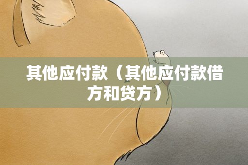 其他应付款（其他应付款借方和贷方）