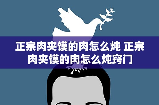 正宗肉夹馍的肉怎么炖 正宗肉夹馍的肉怎么炖窍门