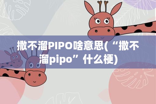 撒不溜PIPO啥意思(“撒不溜pipo”什么梗)