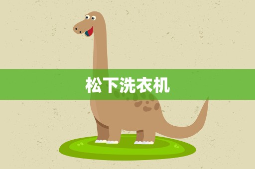 松下洗衣机
