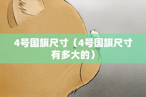 4号国旗尺寸（4号国旗尺寸有多大的）