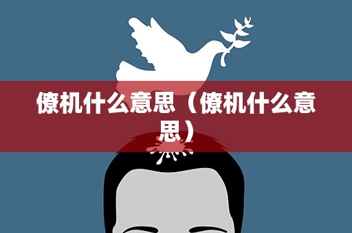僚机什么意思（僚机什么意思）
