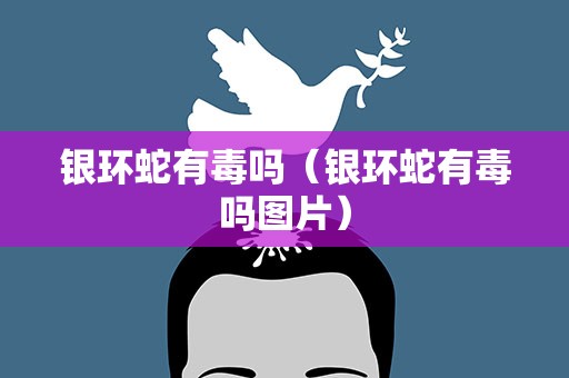 银环蛇有毒吗（银环蛇有毒吗图片）