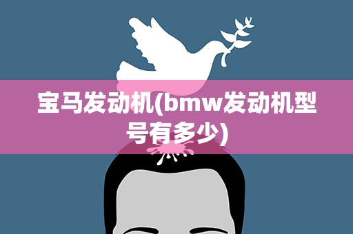 宝马发动机(bmw发动机型号有多少)