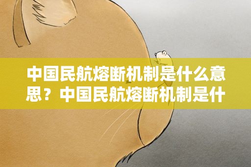 中国民航熔断机制是什么意思？中国民航熔断机制是什么意思呀