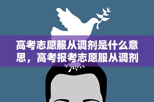 高考志愿服从调剂是什么意思，高考报考志愿服从调剂什么意思