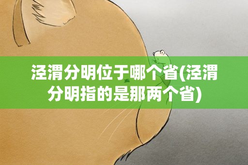泾渭分明位于哪个省(泾渭分明指的是那两个省)