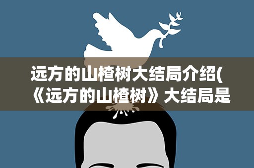 远方的山楂树大结局介绍(《远方的山楂树》大结局是什么)