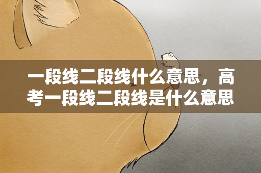 一段线二段线什么意思，高考一段线二段线是什么意思