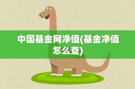 中国基金网净值(基金净值怎么查)