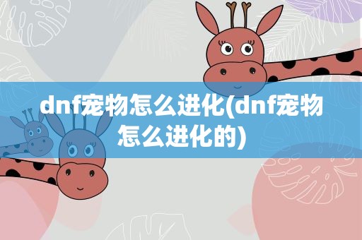 dnf宠物怎么进化(dnf宠物怎么进化的)