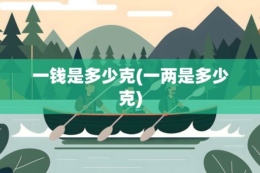 一钱是多少克(一两是多少克)
