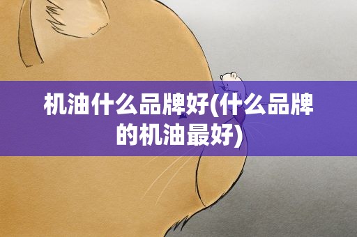 机油什么品牌好(什么品牌的机油最好)