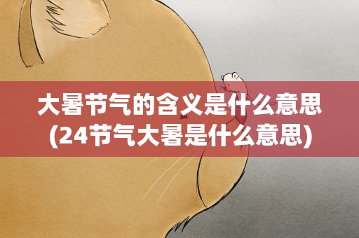大暑节气的含义是什么意思(24节气大暑是什么意思)