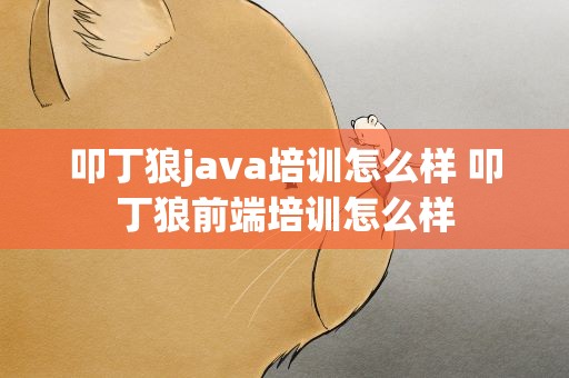叩丁狼java培训怎么样 叩丁狼前端培训怎么样
