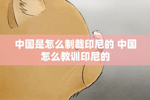 中国是怎么制裁印尼的 中国怎么教训印尼的
