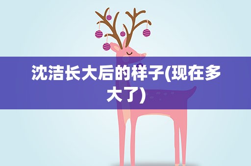 沈洁长大后的样子(现在多大了)