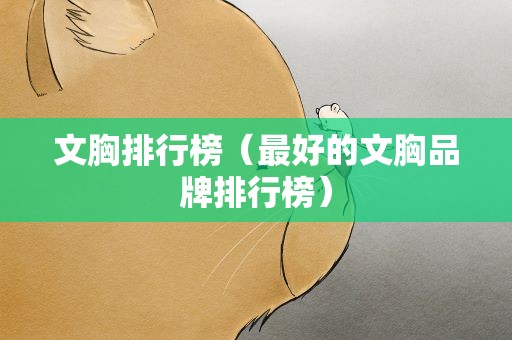 文胸排行榜（最好的文胸品牌排行榜）