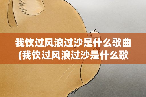 我饮过风浪过沙是什么歌曲(我饮过风浪过沙是什么歌名)