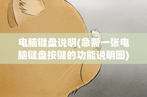 电脑键盘说明(急需一张电脑键盘按键的功能说明图)