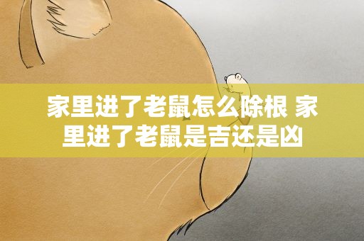 家里进了老鼠怎么除根 家里进了老鼠是吉还是凶