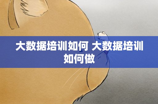 大数据培训如何 大数据培训如何做