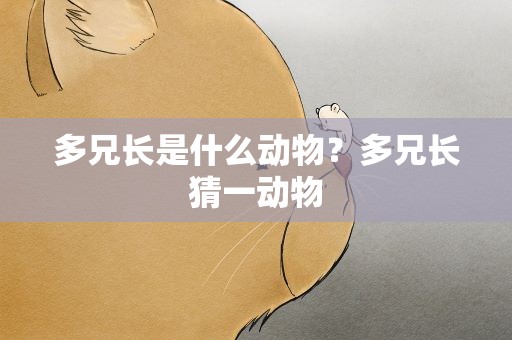 多兄长是什么动物？多兄长猜一动物
