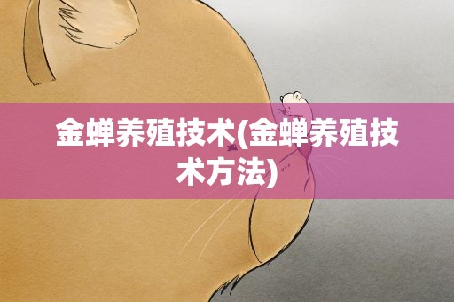 金蝉养殖技术(金蝉养殖技术方法)