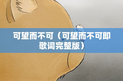 可望而不可（可望而不可即歌词完整版）